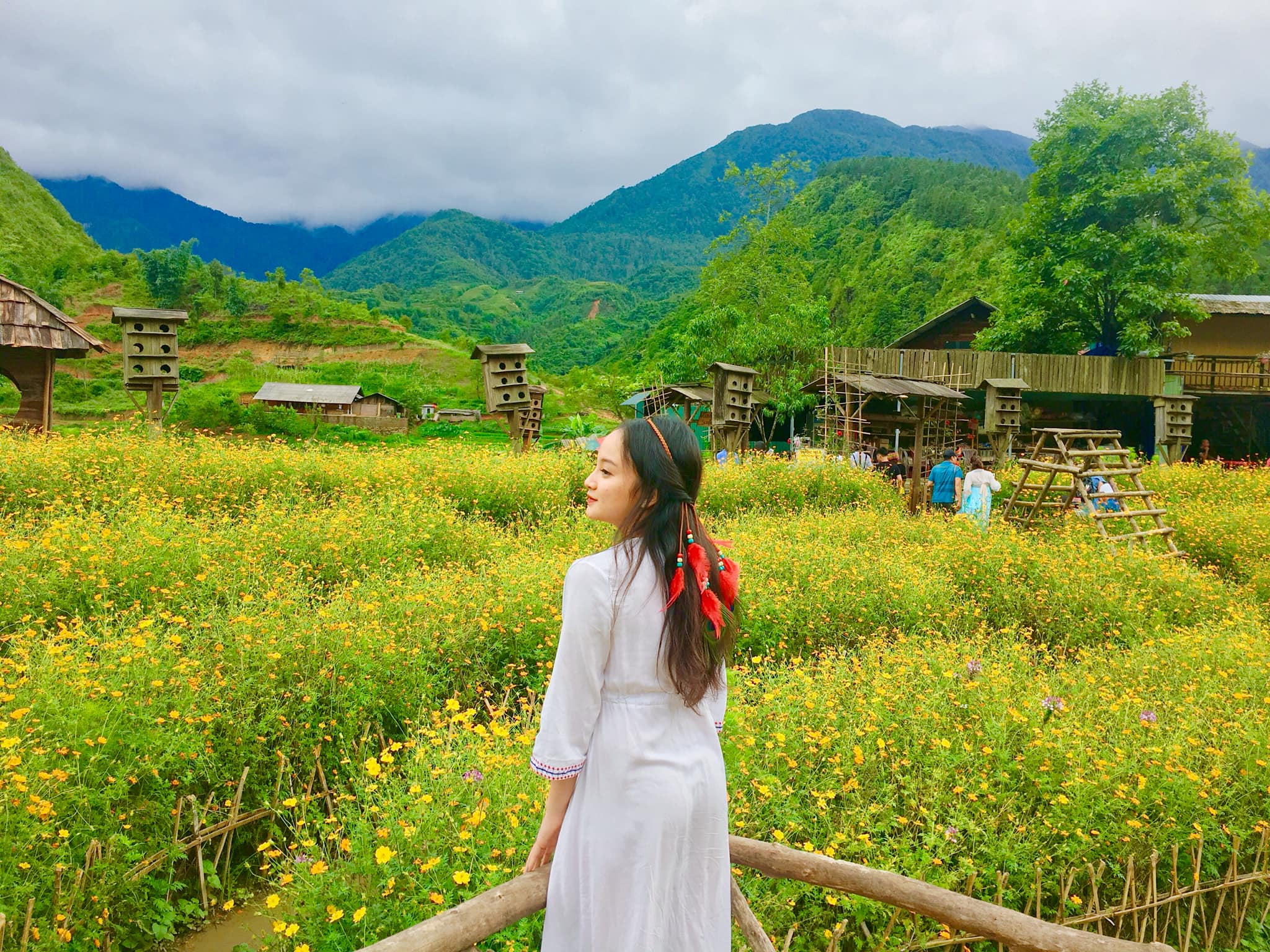 vietnam tour (HV 82)